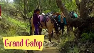 Grand Galop 212 - Course contre le temps | HD | Épisode Complet