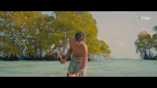 Stories of Maldives - First Coconut