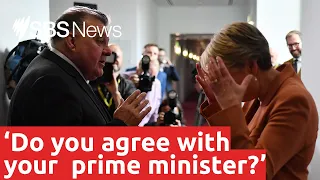 Tanya Plibersek confronts Craig Kelly over COVID-19 conspiracies | SBS News