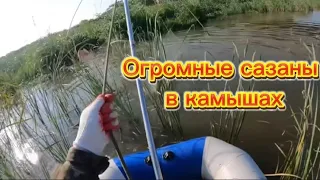 Огромные КАРАСИ И САЗАНЫ! на паук подъёмник! ели поднял на лодку