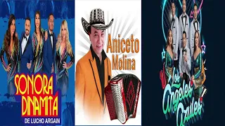 MIX CUMBIAS ENERO[2023? ANICETO MOLINA/ SONORA DINAMITA/ LOS ÁNGELES AZULES