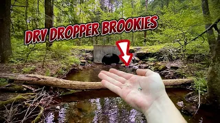 Fishing a DRY DROPPER Rig for AGGRESSIVE Brook Trout (Fly Fishing the Appalachian Mountains)