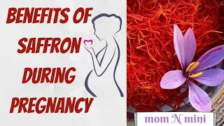 Benefits of Saffron during pregnancy | Uses of Saffron | mom N mini