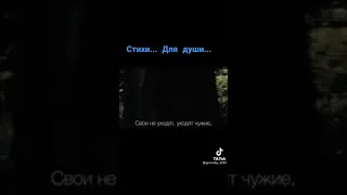 Свои не уходят... чит.Денис Витрук