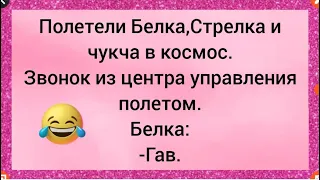 Анекдоты алмазы,топ50 лучших анекдотов в истори