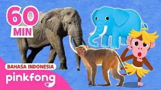 Kumpulan Lagu Binatang | Belajar Nama Hewan | Lagu Anak | Pinkfong Baby Shark Indonesia