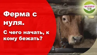 Ферма с нуля. С чего начать, к кому бежать?