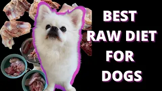 RAW FOOD DIET FOR DOGS - BALANCING EXPLAINED | RAW FOOD FOR DOGS | POMERANIAN PUPPIES FOOD