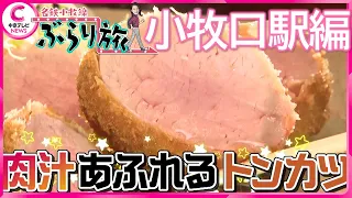 【特集】名鉄小牧線ぶらり旅～小牧口駅編～【中京テレビ・キャッチ！】