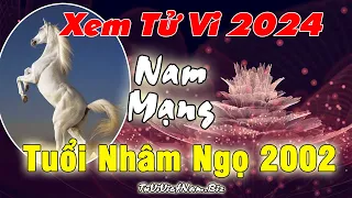 Xem tử vi tuổi Nhâm Ngọ 2002 năm 2024 nam mạng Vận Hạn - Tài Lộc đầy đủ chi tiết nhất