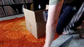 Unboxing a mystery box of Vinyl