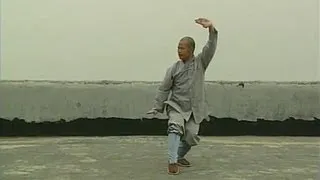 Shaolin Kung Fu Combat Styles: 9. small penetrating-arms form (通臂拳: tong bi quan)