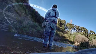 A Fisherman’s DREAM!! I Found an ABSOLUTE HONEY HOLE Loaded with Trout!