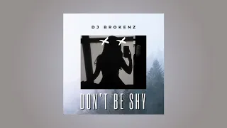 Don't Be Shy Tiesto - (DJ Brokenz Remix)