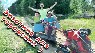 Лихацкие гоняют по деревне на мотоблоке ! )