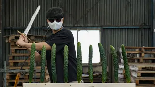 Slicing Cucumbers with the Sword from Game of Thrones