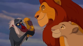 Leijonakuningas: Tie elämään - Disney Klassikot Suomi