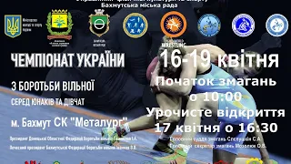 Чемпіонат України з вільної боротьби