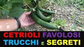 CETRIOLI FAVOLOSI TUTORIAL - TRUCCHI E SEGRETI