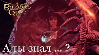 Что случится если убить Шэдоухарт на корабле? | Baldur's Gate 3 [patch 9]