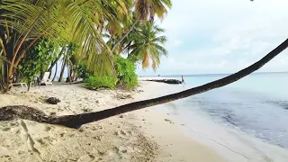 Fihalhohi Island Resort | October 2022 | Drone View