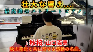 【ストリートピアノ】壮大な響き...最高峰のストリートピアノで『秋桜』山口百恵弾いてみた。[明石駅streetpiano/さだまさし]※動画最後に告知あり