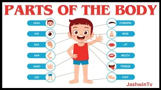 Parts of the Body | Body parts name | Human Anatomy