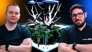 A Stunning Planted Aquarium with an Epic Driftwood and a 360 View