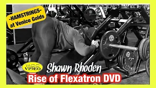 Shawn Rhoden - HAMSTRING WORKOUT - Rise Of Flexatron DVD