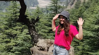 Lama Top | Harsil Valley near Gangotri Dhan in Uttarakhand - Part 2