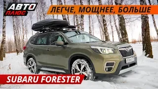 Почему Subaru Forester - отличный семейный кроссовер. Семейный тест-драйв | Своими глазами