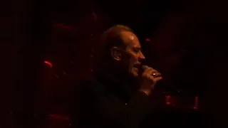 peter murphy - the passion of lovers - live