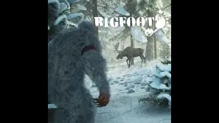 BigFoot / Winter Park map / multiplayer