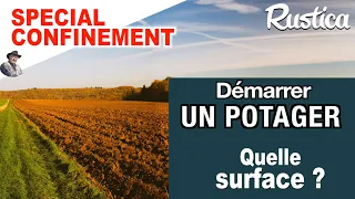 Mon premier potager : quelle surface pour démarrer ?