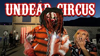 *HORRIFYING* Undead Circus!! (Haunted Attraction, Lake Elsinore)