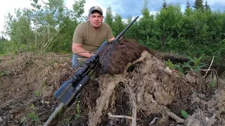 17 HMR WITH A TACTCAM FTS 5.0 VS BOB THE BEAVER . ....