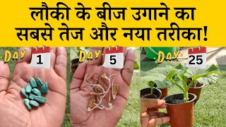 लौकी के बीज उगाने का सबसे तेज और नया तरीका! Fastest Method of Bottle Gourd Seed Germination in Hindi