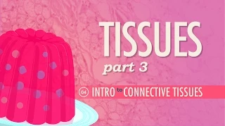 Tissues, Part 3 - Connective Tissues: Crash Course Anatomy & Physiology #4