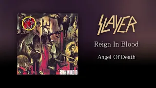 Slayer - Angel Of Death (Guitar Backing Track with Tabs)