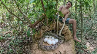 Wow! Brave Man Catching Biggest Snake in Hole & Cooking Eating Delicious In Forest