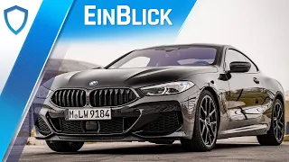 BMW M850i xDrive Coupé (2021) - Der ALLESKÖNNER unter den Sportcoupés?