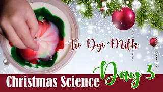 Tie Dye Milk Christmas Science Day 3