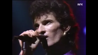 Mink DeVille 'Maybe Tomorrow', 'You'd Better Move On', live 1982