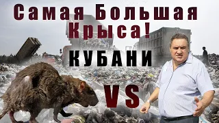 Полтавская Свалка - провал "Мусорной Реформы" Кубани