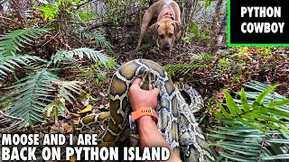 Heading Back To Python Island Hunting Pythons With Moose