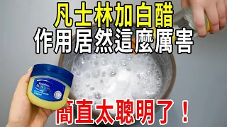 凡士林加白醋，作用居然這麼厲害！簡直太聰明了！省錢又實用！學會的趕緊試一試【圍裙媽媽】