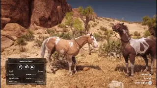 Red dead redemption 2: Location for Both American paint horses