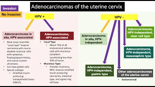 Endocervical Lesions