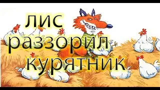 Лиса (Лис) Мики "разорил курятник" - стощил яйца прямо со стола.