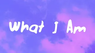 ZAYN - What I Am